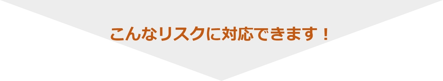 こんなリスクに対応できます！