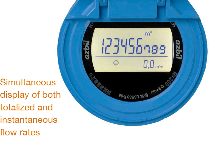 Simultaneous display of both totalized and instantaneous flow rates